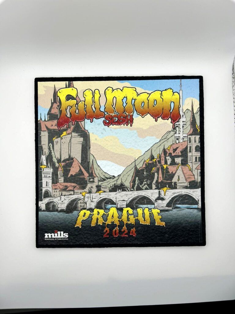 MOODMAT X FMS PRAGUE 2024